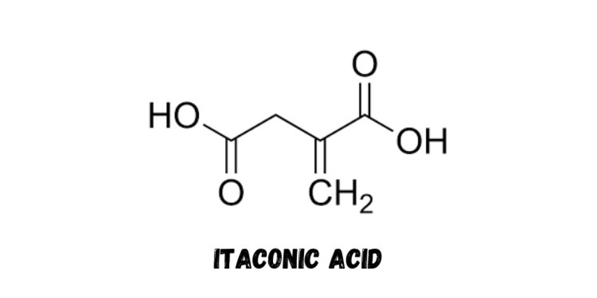 Comprehensive Analysis of the Itaconic Acid Production Process with Cost Analysis