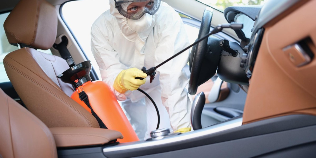 Reclaim Your Ride with Expert Car Pest Control in Melbourne