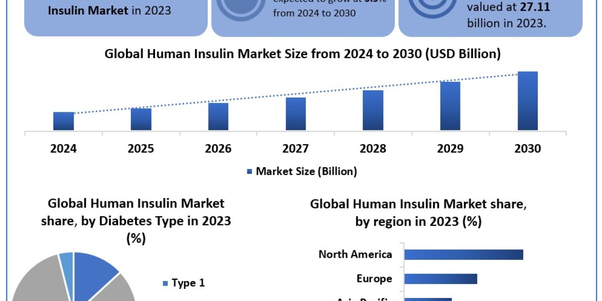 Human Insulin Market Key Stakeholders, Growth Opportunities and Sales Channels Analysis 2030