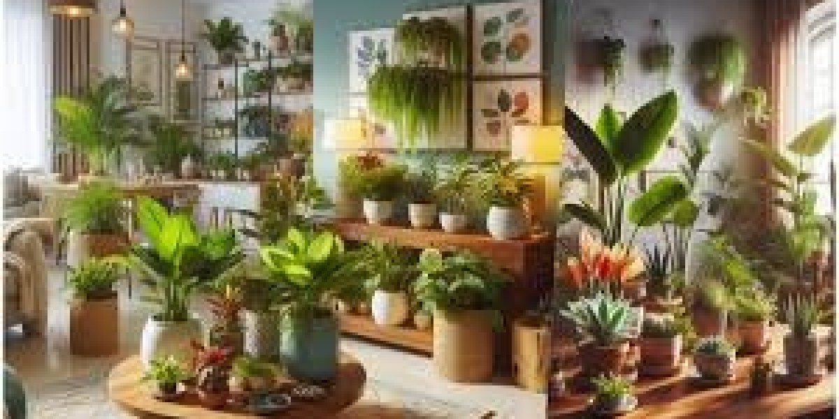 Buy Plants Online in Pakistan: Your Ultimate Guide