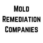 Mold Remediation Companies Profile Picture