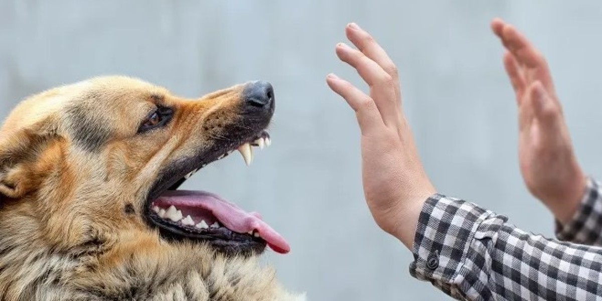 How to Handle Common Behavioral Issues in Dogs