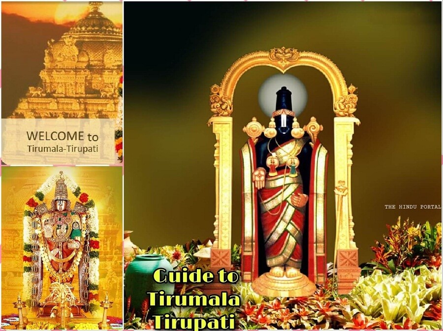 Complete Guide Of Tirupati | Tirumala Darshan | Tirupati Helps