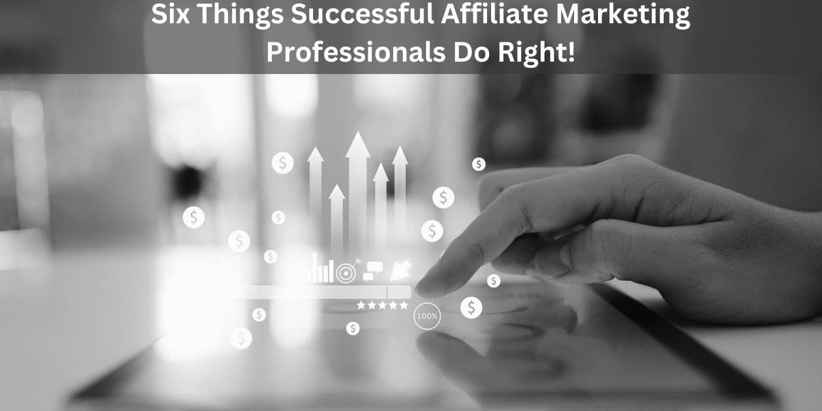 Six Things Successful Affiliate Marketing Professionals Do Right!