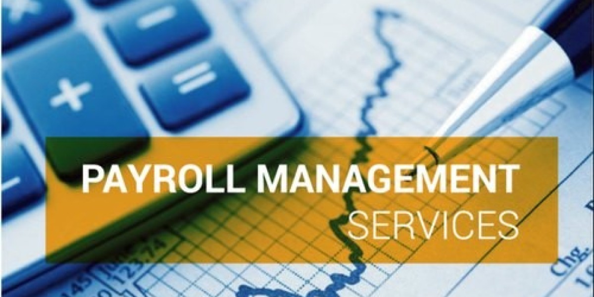 Payroll Management in Mumbai: Streamlining Payroll with SGCMS