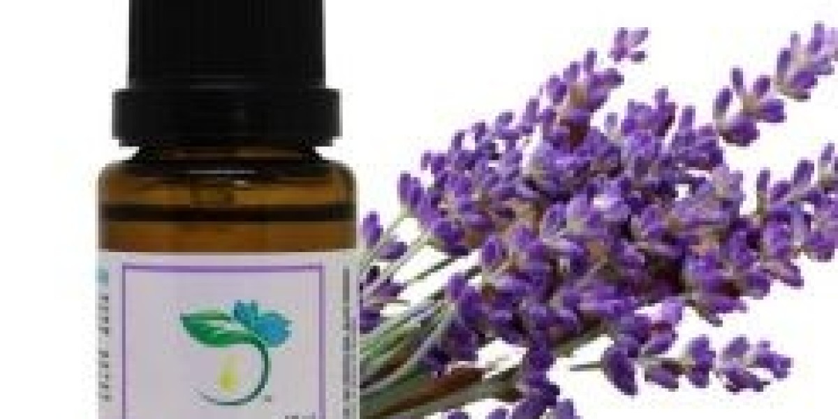 How Lavender Essential Oil Can Enhance Your Wellness Routine