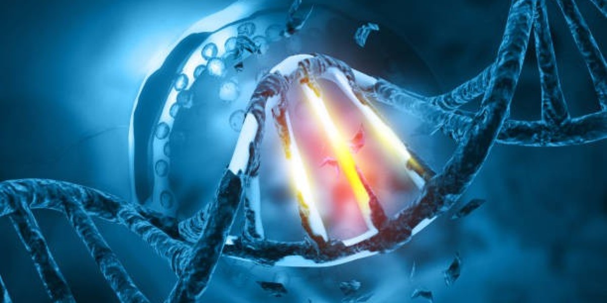 Top Leading Companies of DNA Damage Response Drugs Market – MarkNtel