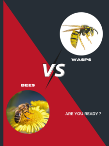 Wasp Control Melbourne - Wasps Nest Removal Melbourne