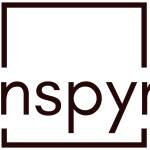 nspyr event planner in dubai Profile Picture