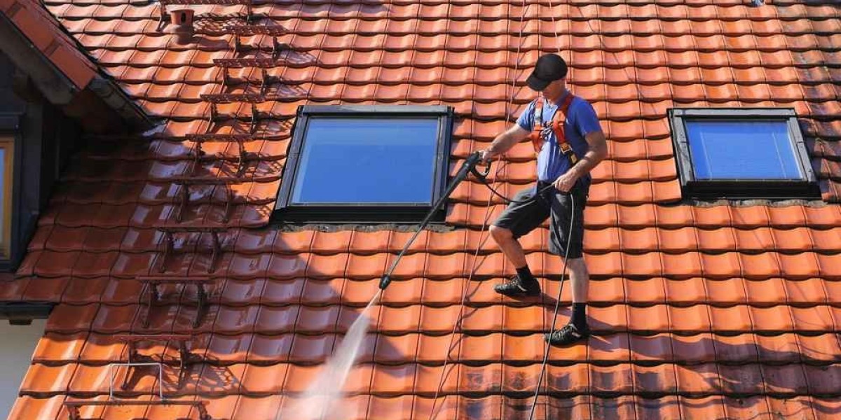 Roof Cleaning In Sydney