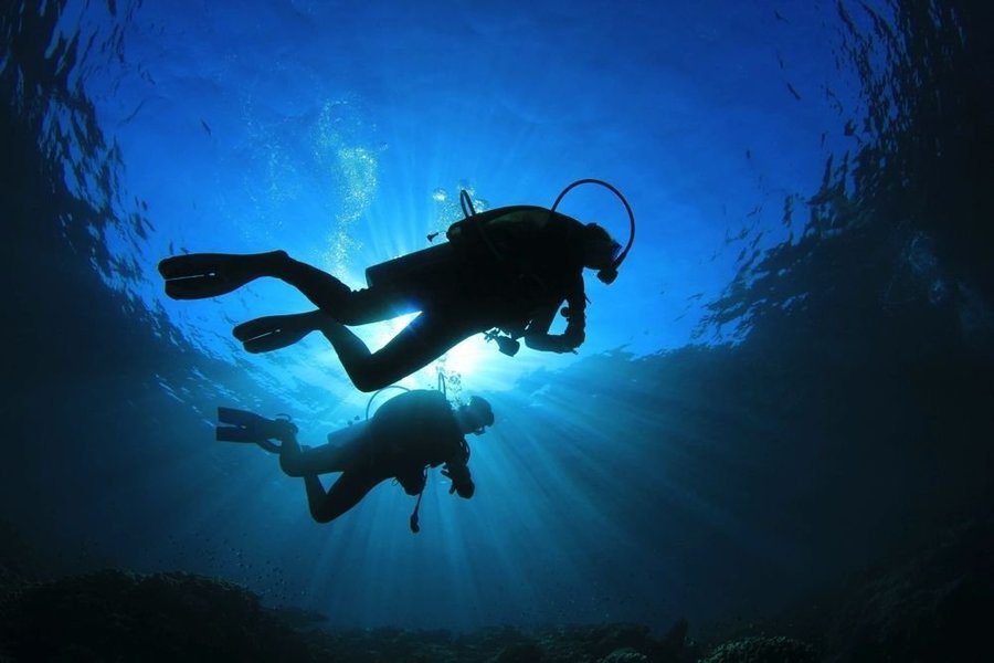 Discover the Best Scuba Centres And Diving Equipment Sydney – Dive Centre Bondi