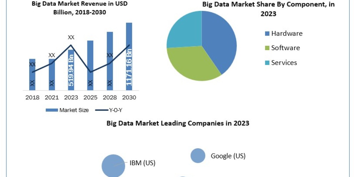 Big Data Market Growth Analysis By Manufacturers And Forecast 2030