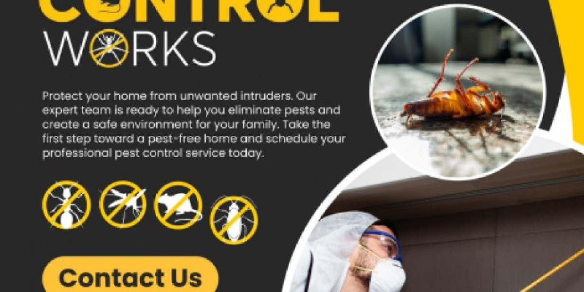 Pest Control Services in Sunbury: Safeguard Your Home with Pest Control Work