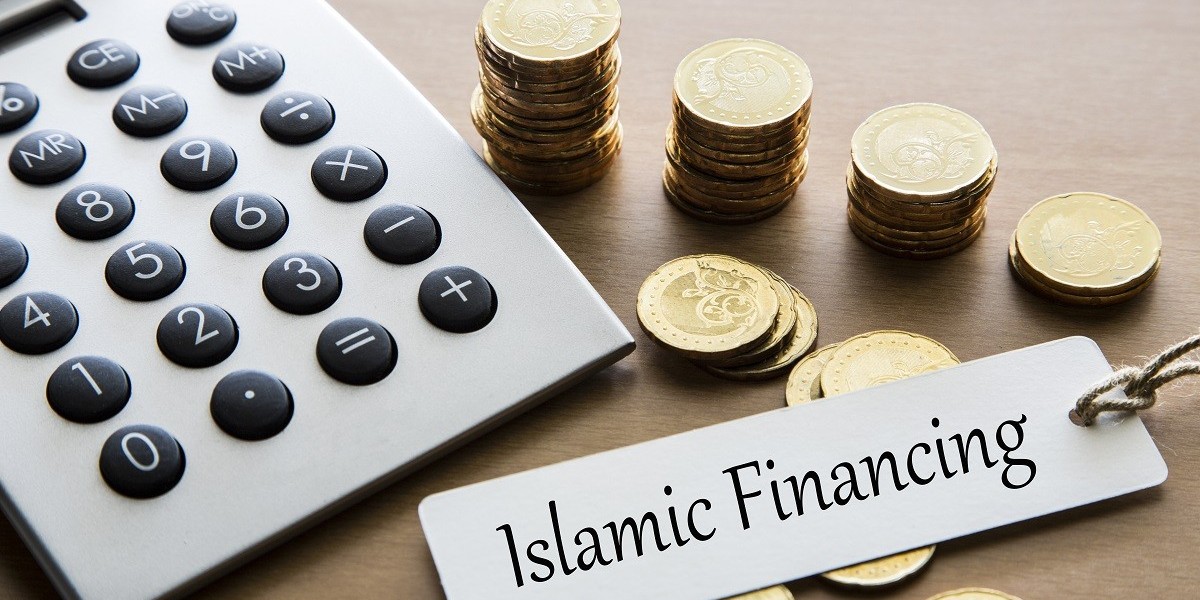 Best 5 Diploma Programs to Strengthen Your Islamic Finance Expertise