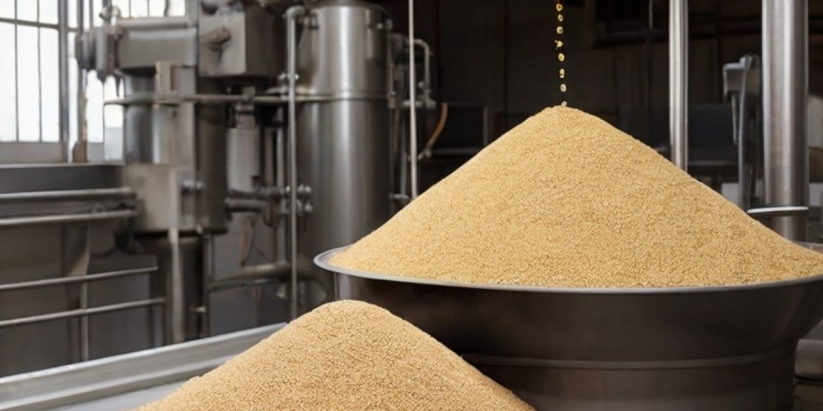 Quinoa Oil Processing Plant Project Report 2024: Industry Trends and Unit Setup