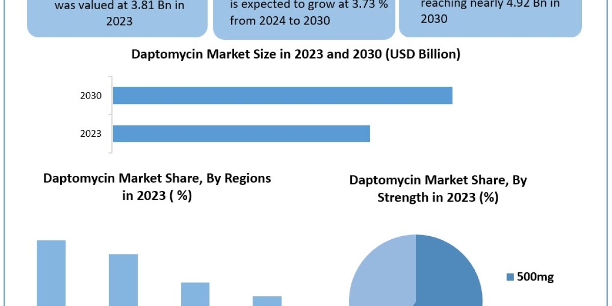 Daptomycin Market	Data Decoded: Segmentation, Outlook, and Overview for Business Success | 2024-2030