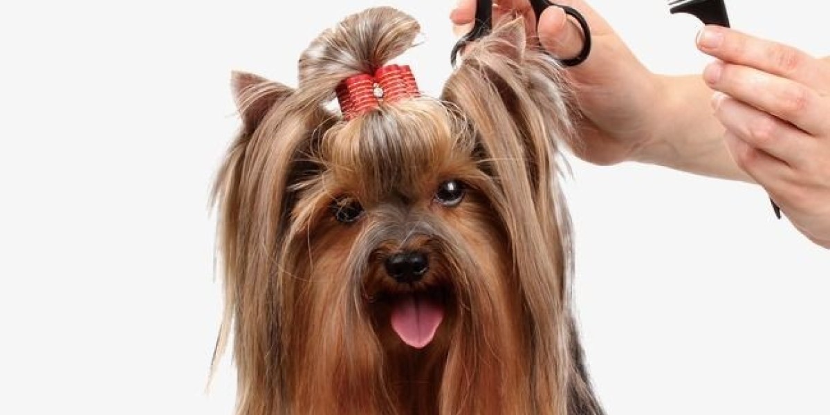 Research Report on the Pet Hair Care Industry