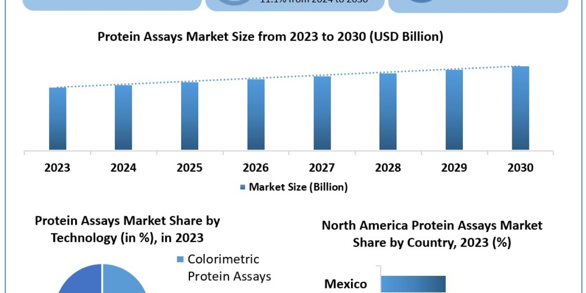 Protein Assays Market	Metrics Marvels: Size, Share, Revenue, and Worth Statistics | 2024-2030