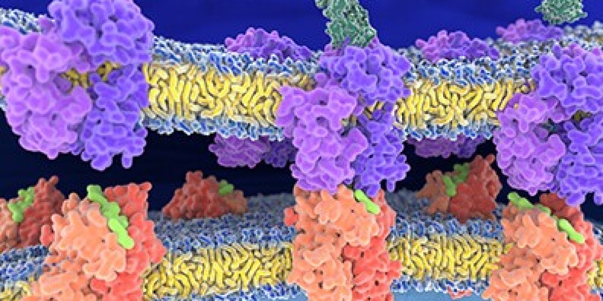 Peptide Synthesis - an overview