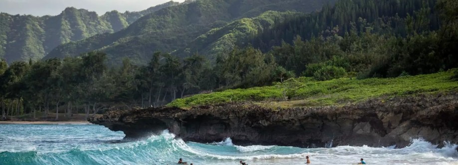 hawaiiluxetravel Cover Image