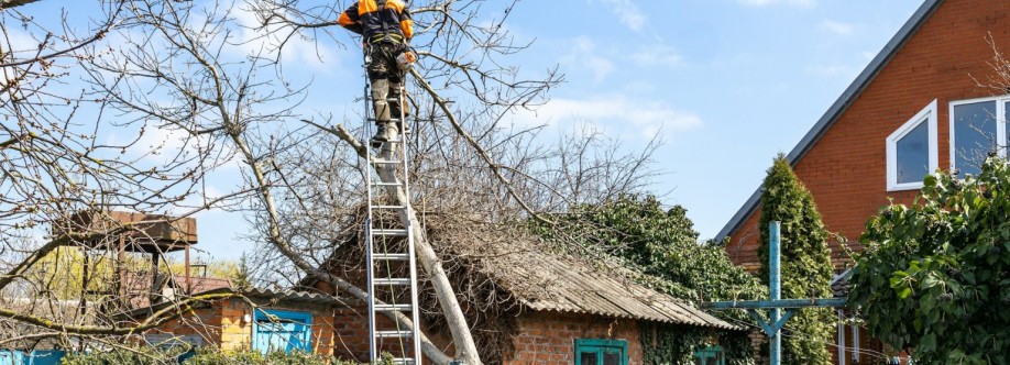 West Coast Tree Co Cover Image