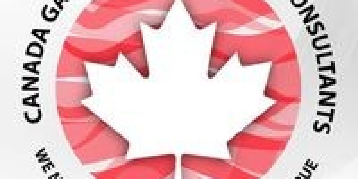 Expert Canada Immigration Consultants for Your Journey