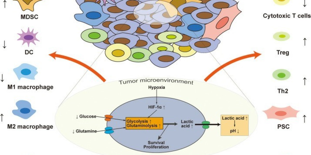 Alfa Cytology Announces Pancreatic Cancer Vaccine Development Services to Explore Reliable Immunotherapy in Preclinical 