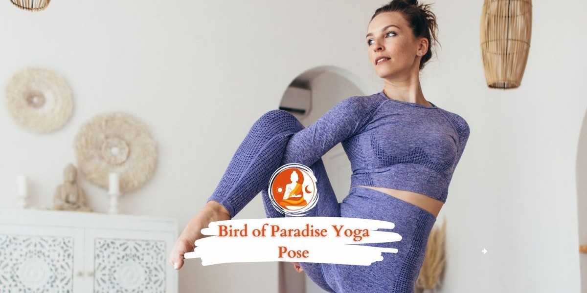 Flowing into Balance: A Complete Yoga Sequence for Bird of Paradise