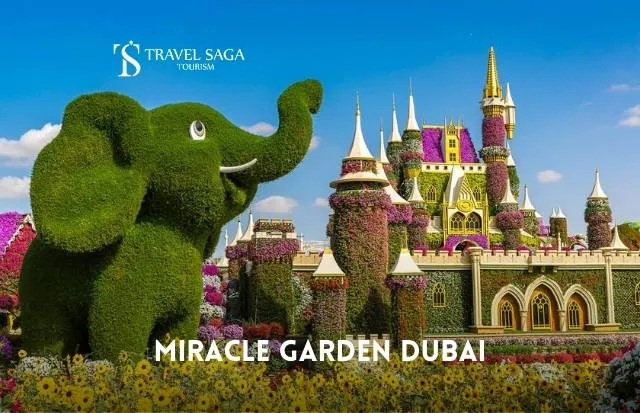 Miracle Garden Tickets Dubai - Book Now with Travel Saga Tourism