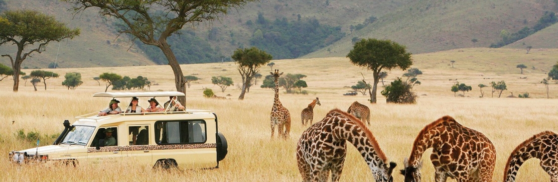 safariafrica Cover Image