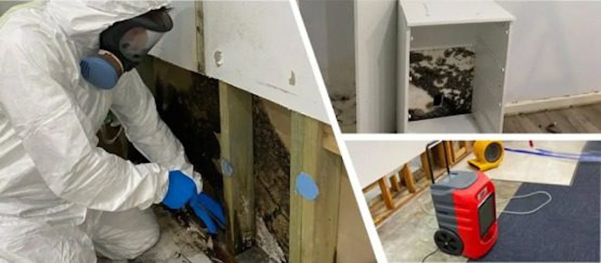 Know How Mould Cleaning Service Can Be Highly Beneficial