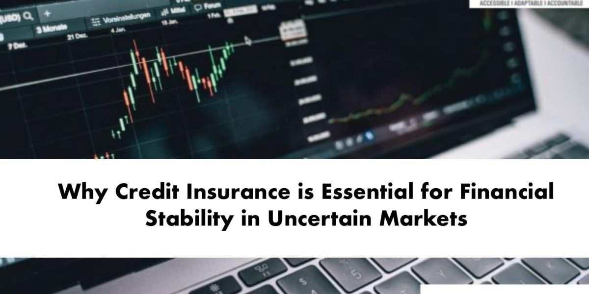 Why Credit Insurance is Essential for Financial Stability in Uncertain Markets