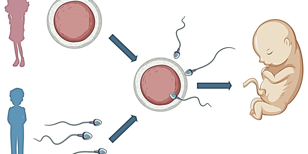 Understanding the IVF Process: A Guide for Couples in Bilaspur