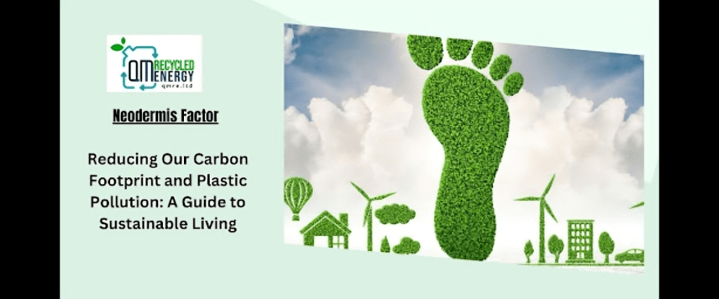 Reducing Our Carbon Footprint And Plastic Pollution: A Guide To Sustainable Living - General - Hellos.Blog