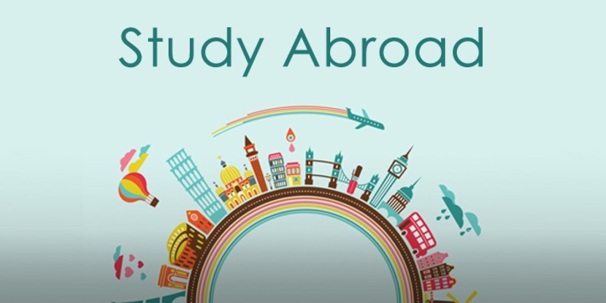 Seamless Study Abroad Experiences with Professional Consultancy