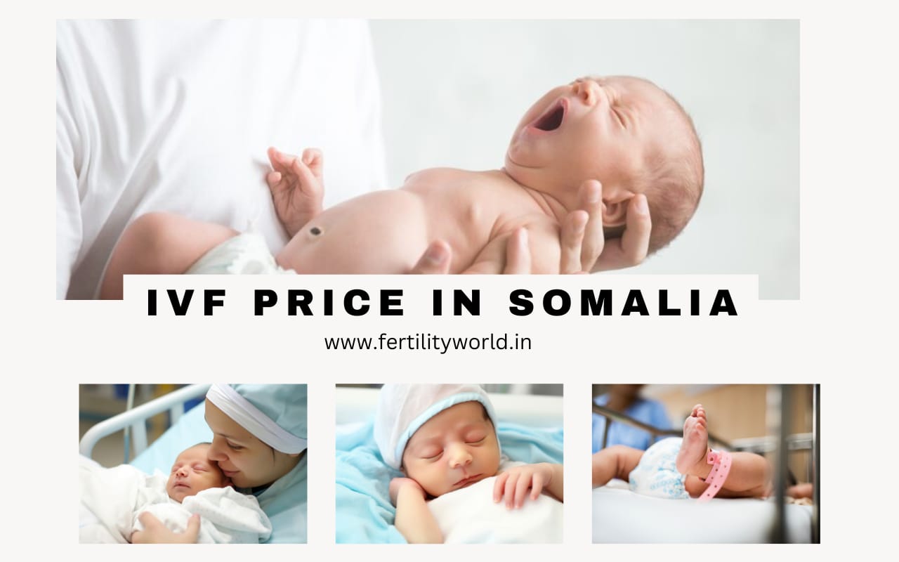  IVF Treatment Cost in Somalia | Fertilityworld