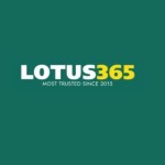 lotuss365 profile picture