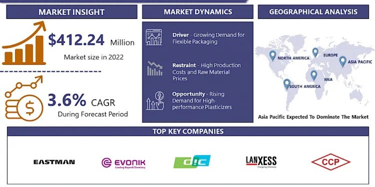 Polyester Plasticizers Market Navigating the Market Landscape: Size, Growth, and Share