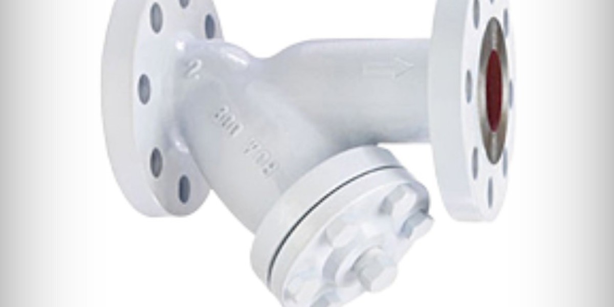 Strainers Valve manufacturer in India