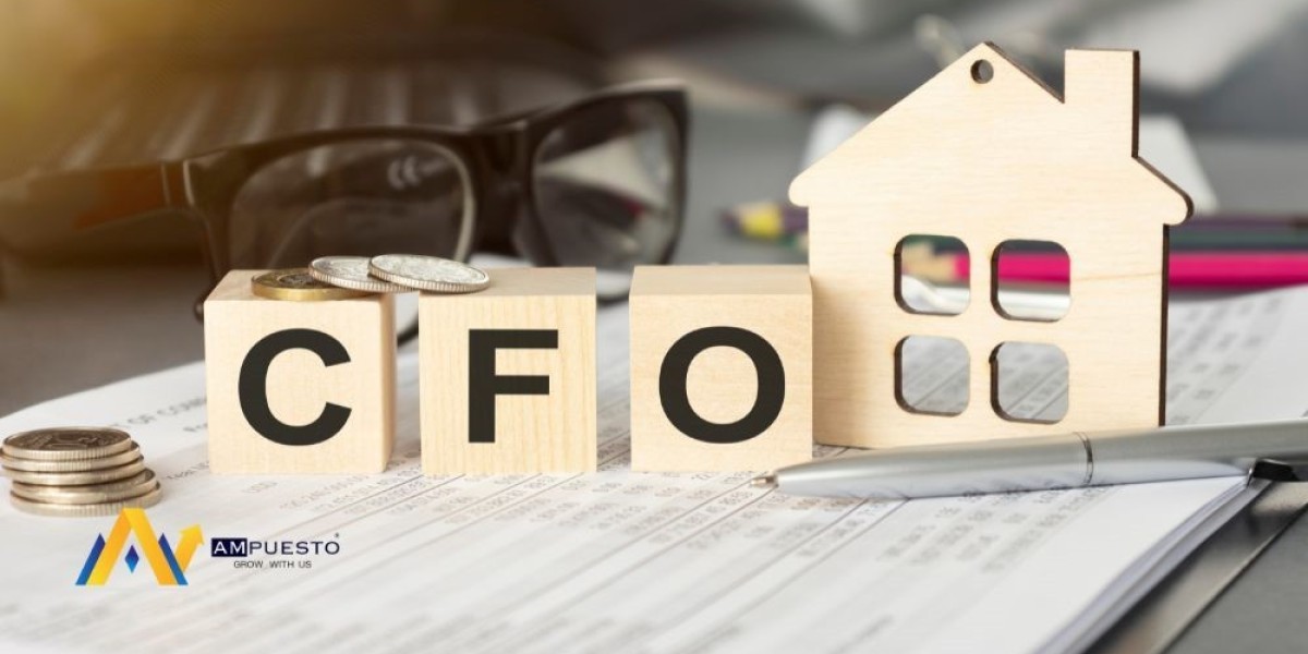 Get Expert Virtual CFO Services in Noida for Financial Growth