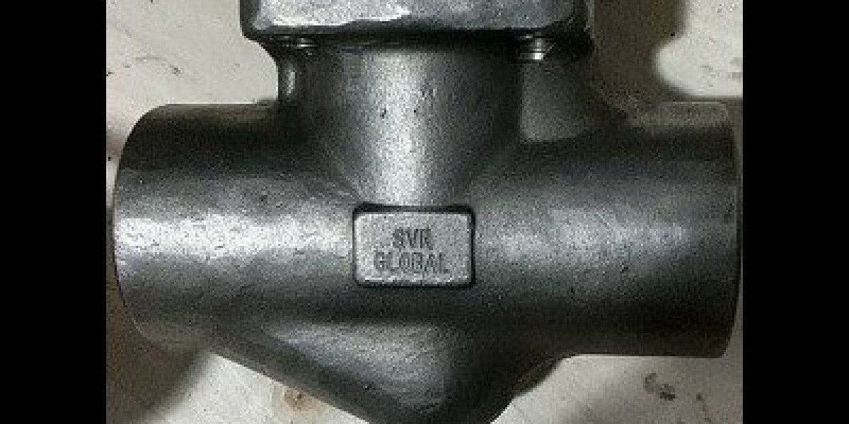 Forged Steel Check Valve Manufacturer in USA