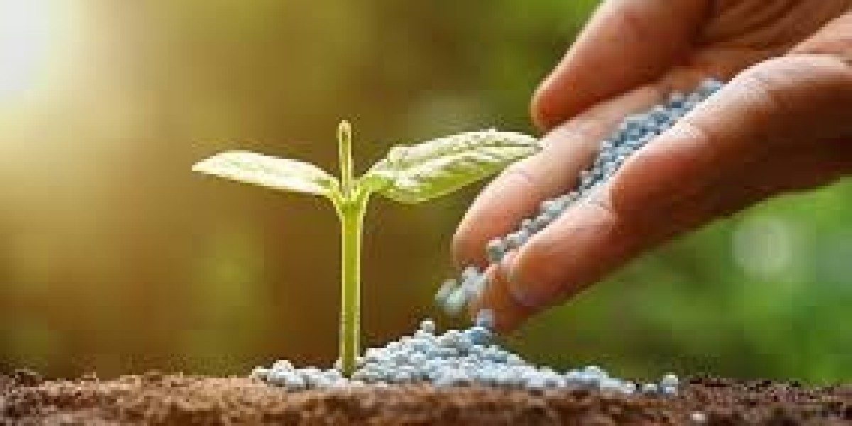 Fortified Organic Fertilizers Market Growth, Industry Development and Forecast 2024