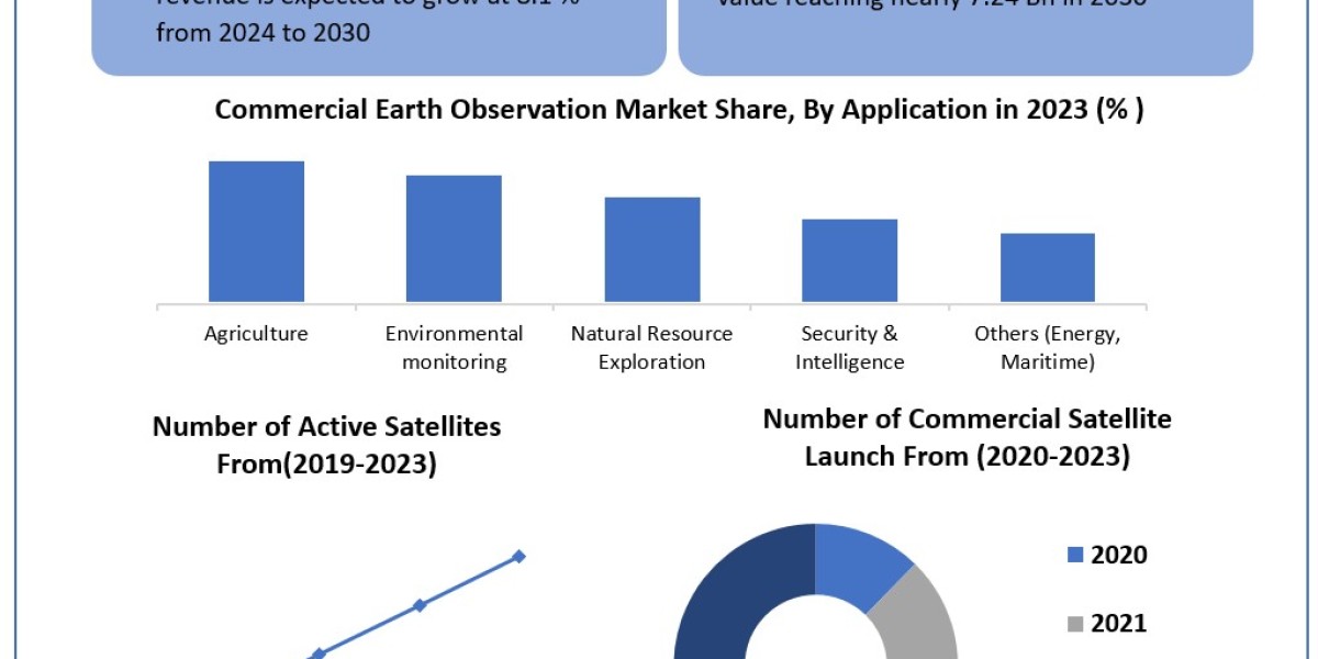 Commercial Earth Observation Market Business Share, Key Trends And Sales Revenue 2030