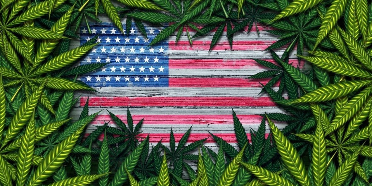 The Impact of U.S. Elections on the Cannabis Accessory Market