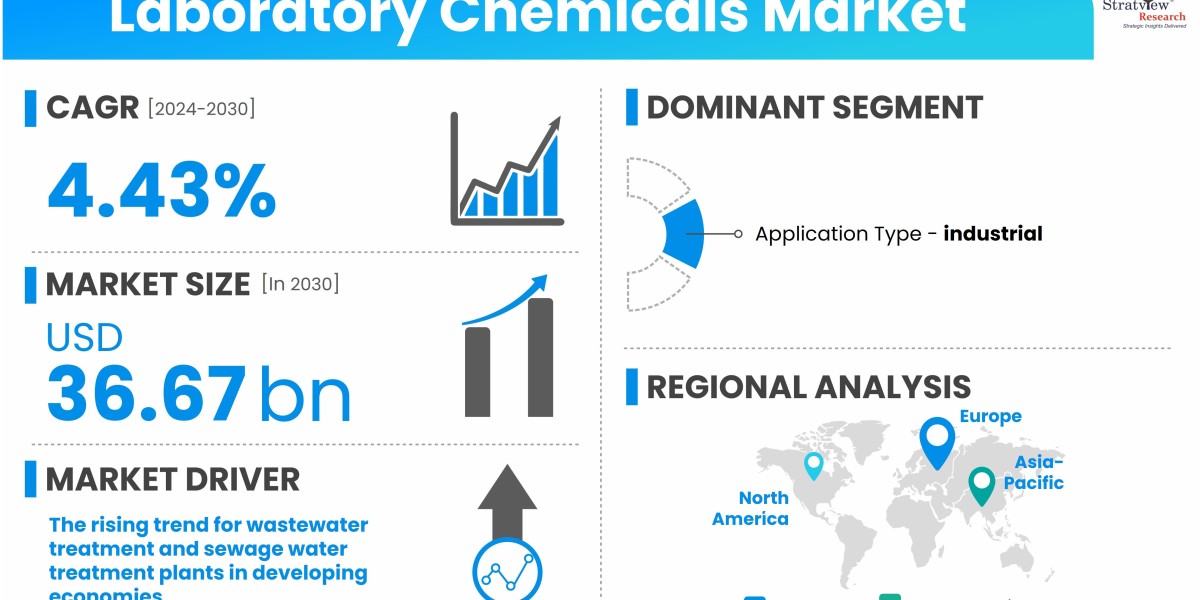 Driving Forces Behind the Laboratory Chemicals Market Expansion