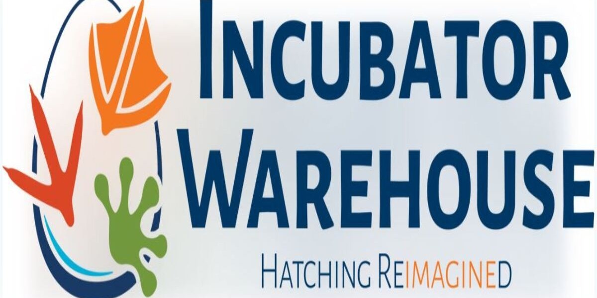 Your Guide to Finding High-Quality Incubators for Sale Online