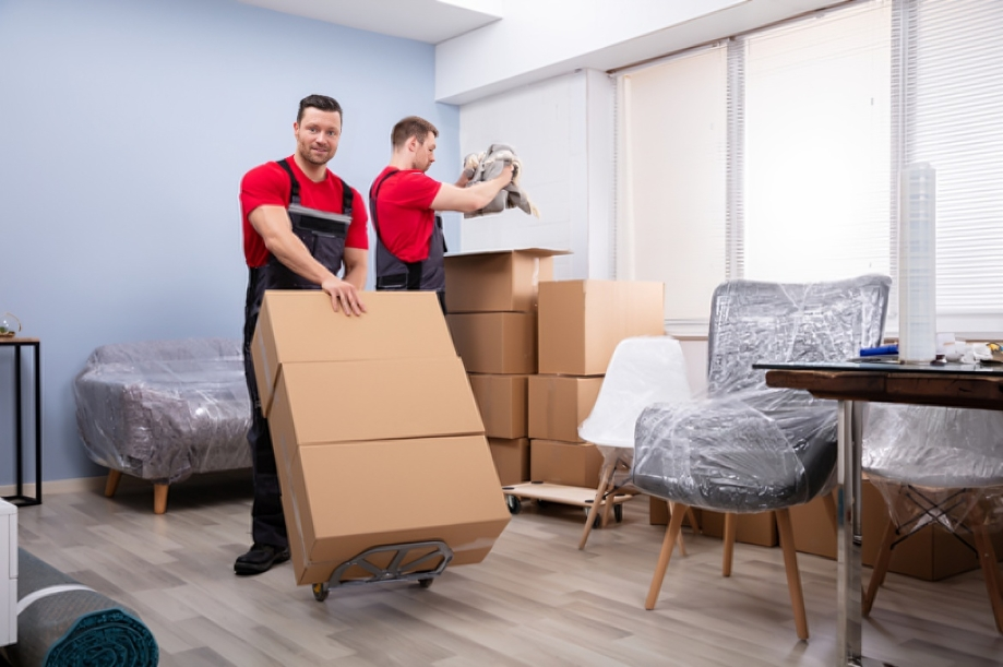 How Kelowna Movers Can Help You with Packing, Transport, and More