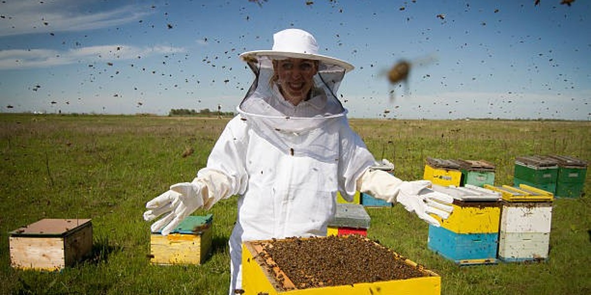 Understanding the Importance of Bees