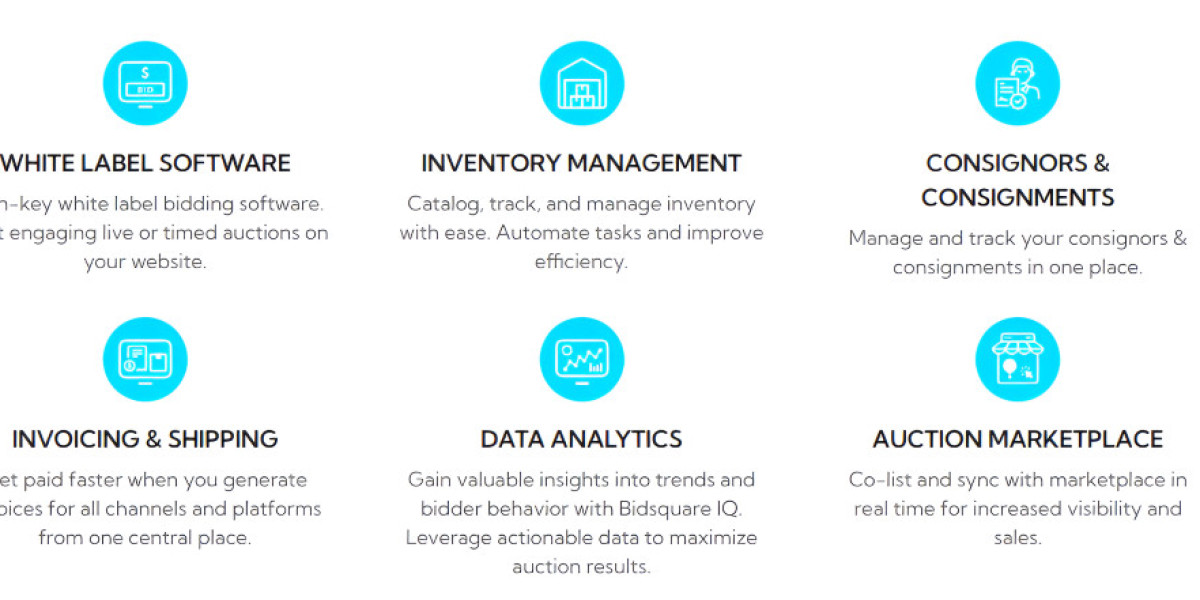 Auctioneer Software: Revolutionizing the Face of Auctions