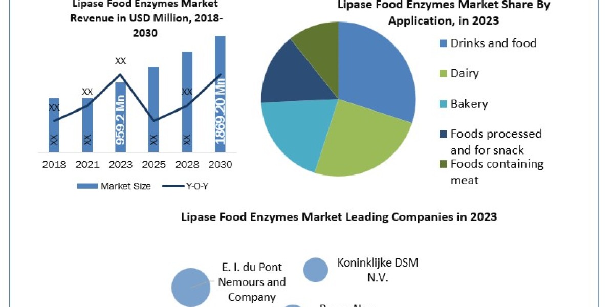 Lipase Food Enzymes Market Development, Key Opportunities and Analysis of Key Players to 2030